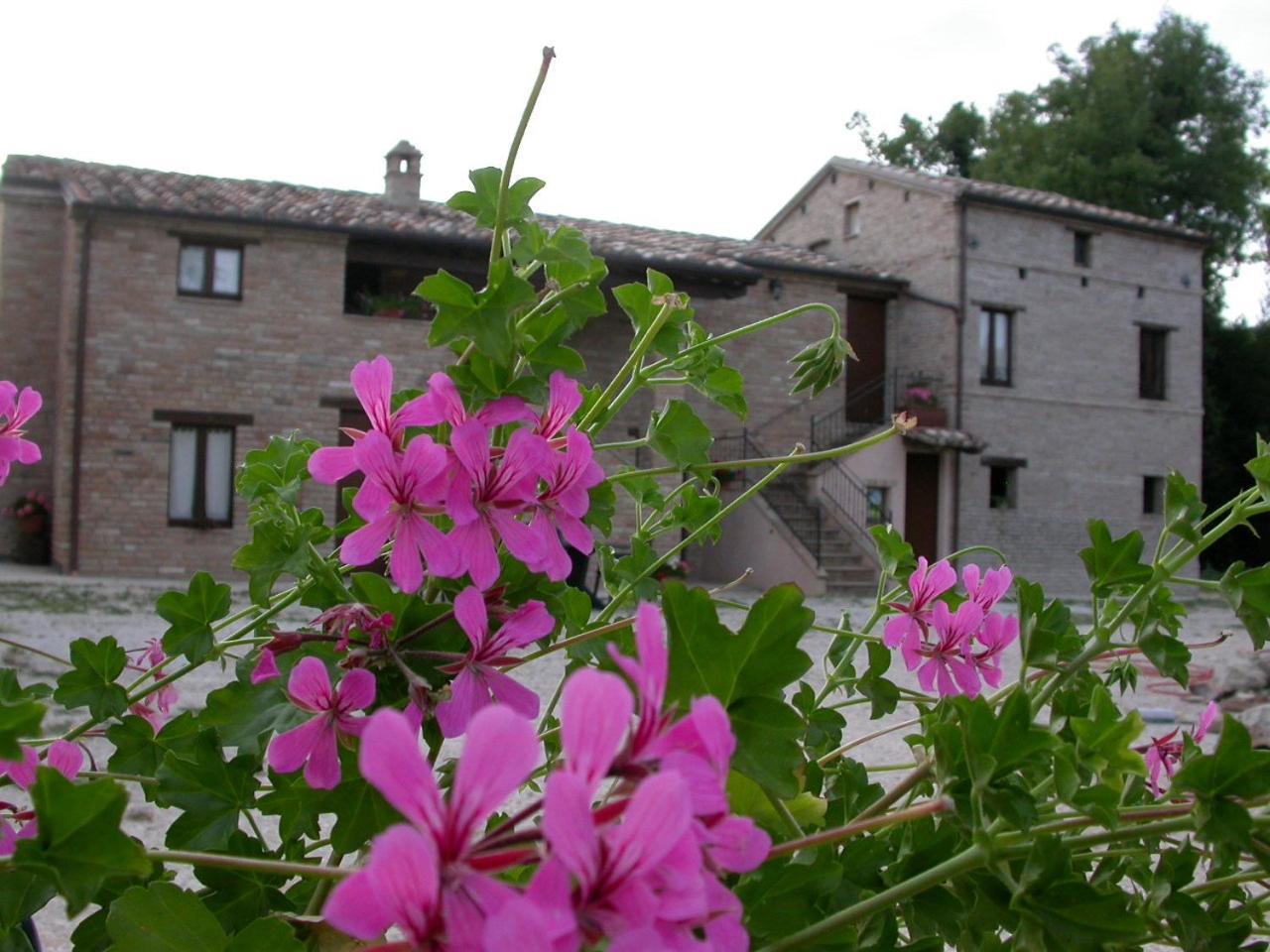 Pensjonat Antica Dimora Sarnano Zewnętrze zdjęcie